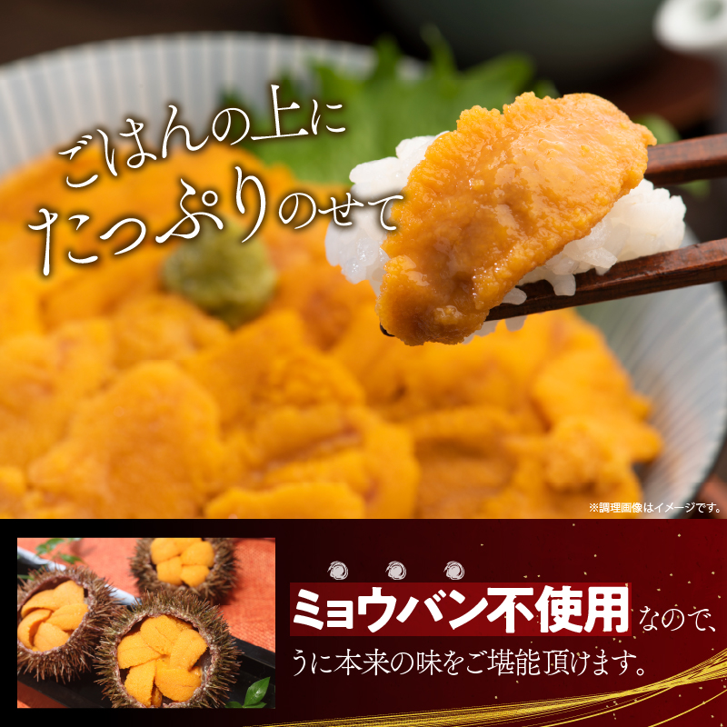 ≪プロ厳選≫最高級塩水うに(極)計300g うに ウニ 雲丹 塩水うに 海鮮 海産物 北海道 浜中町 ふるさと納税 人気_H0014-004