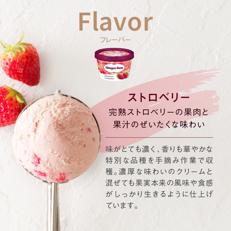 ハーゲンダッツ『ミニカップ8個セット(ストロベリー味)』アイスクリーム アイス スイーツ デザート_H0016-009