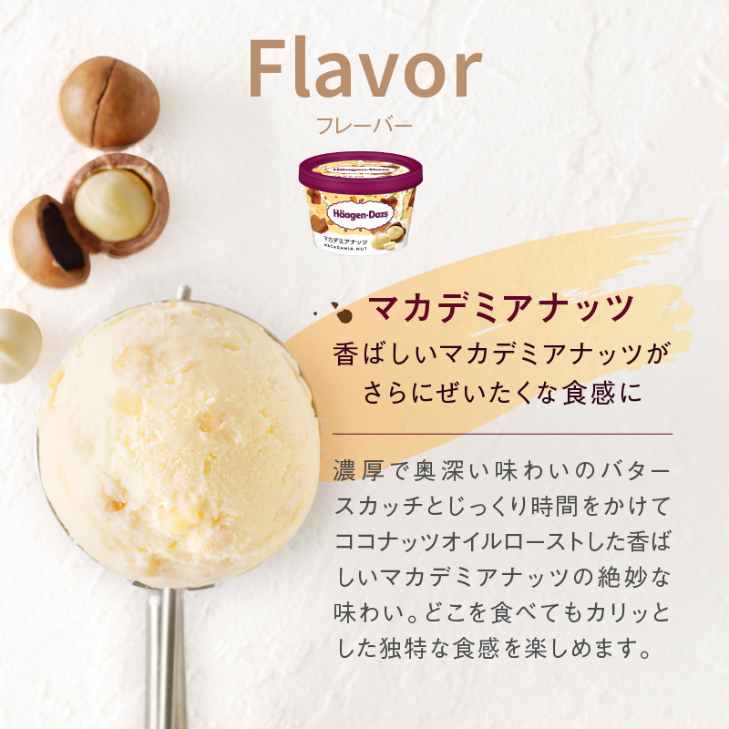 ハーゲンダッツ『ミニカップ8個セット(マカデミアナッツ味)』アイスクリーム アイス スイーツ デザート_H0016-010