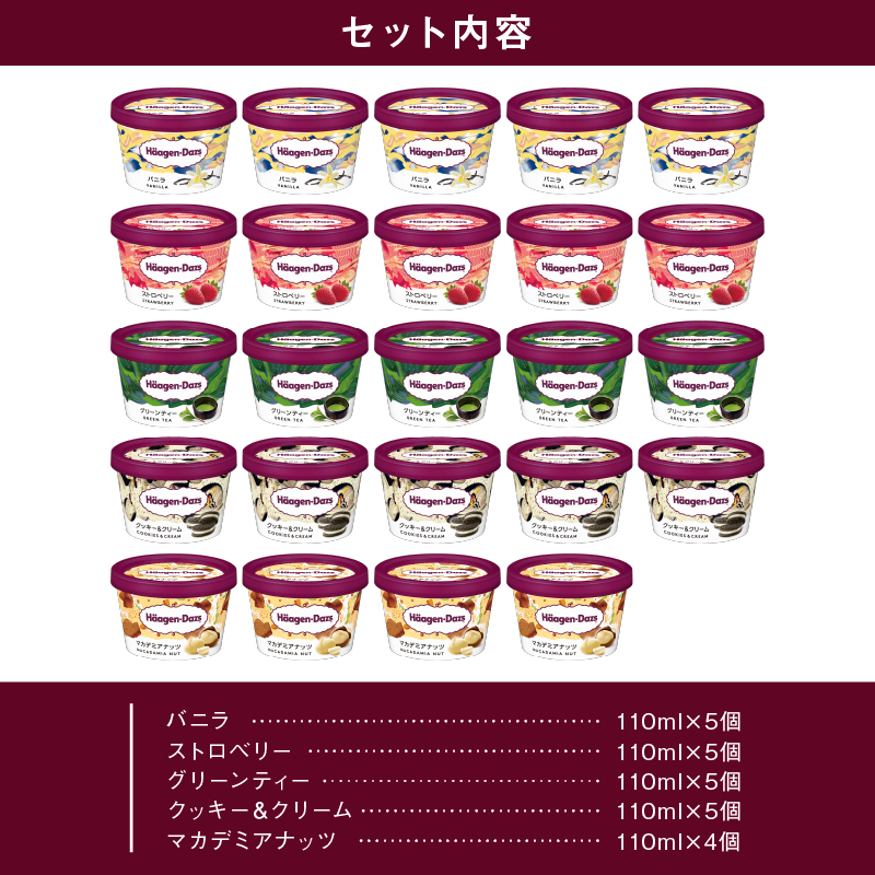 【着日指定できます!!】ハーゲンダッツ『定番ミニカップ5種セット(合計24個)』アイスクリーム アイス スイーツ デザート_H0016-017
