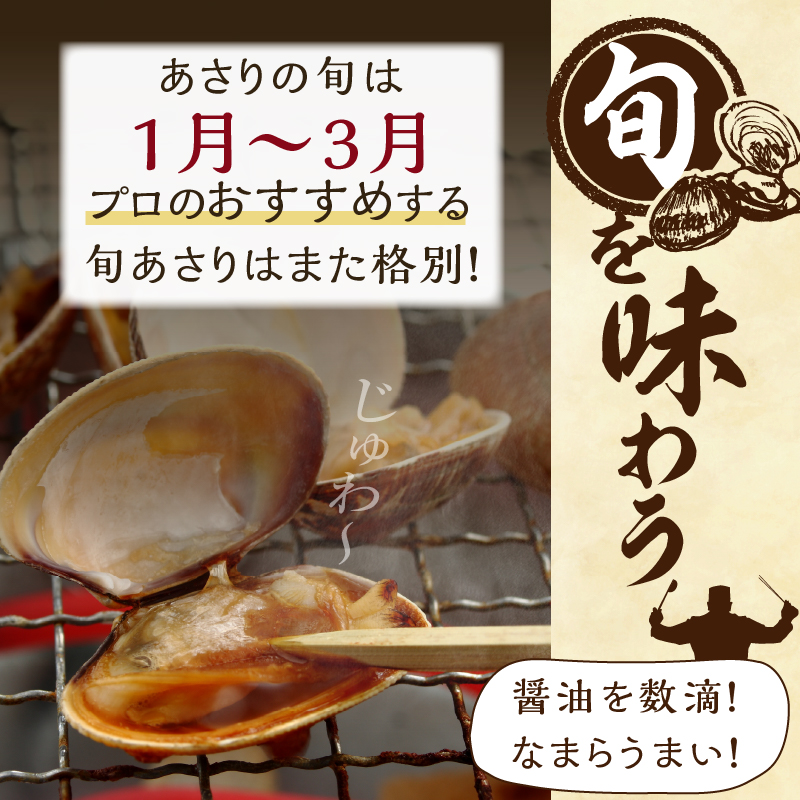 【訳あり】1月～3月発送分《先行予約・期間限定》浜中町産活あさり(500g×4袋セット)_H0023-052