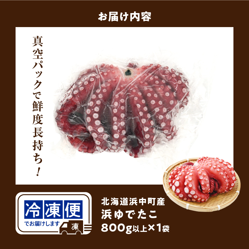 【令和8年1月発送分】浜ゆでたこ「まるたこ」たこ 一匹 一杯 刺身 海産物 魚介類 海鮮 北海道 _H0023-061-R801