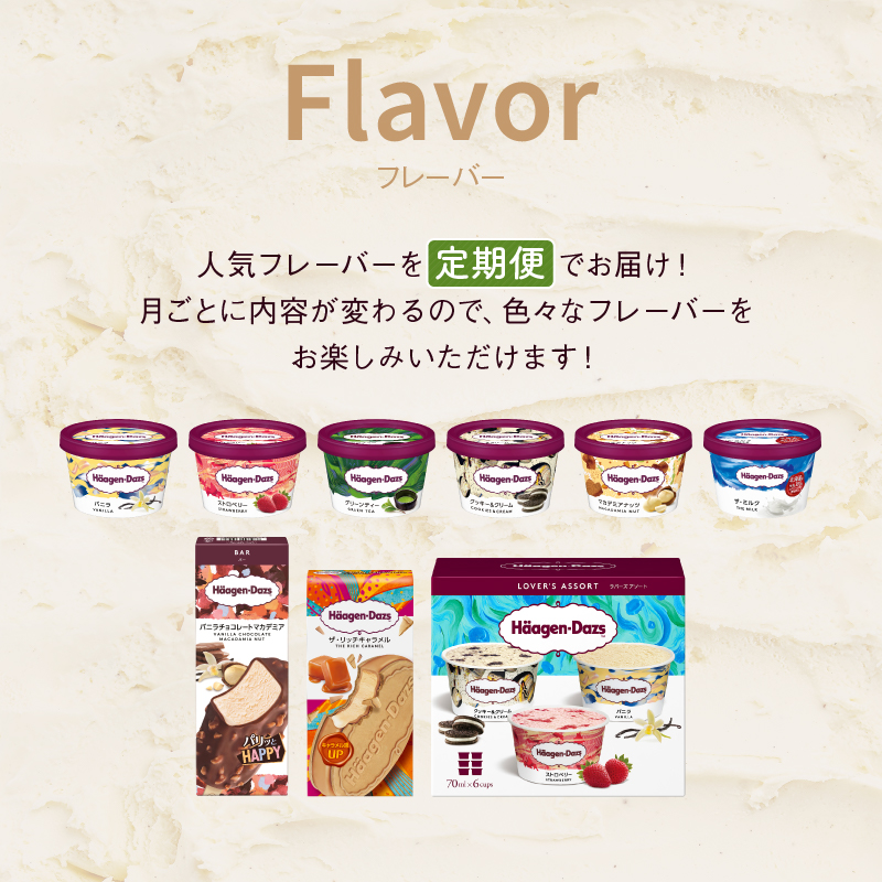 ＜全4回・隔月＞お試し定期便！ハーゲンダッツ人気 セット アイス スイーツ デザート_H0026-011