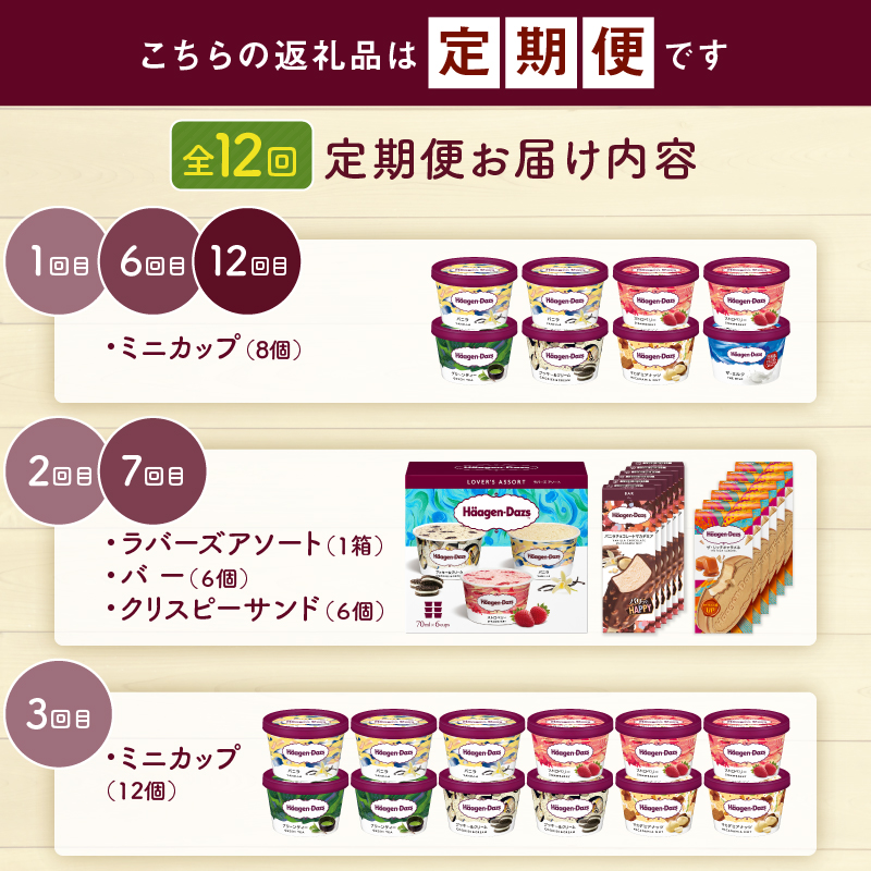 ＜全12回・連続＞1年定期便！ハーゲンダッツ人気 セット アイス スイーツ デザート ご褒美 詰め合わせ 贅沢 乳製品 おやつ おすすめ お取り寄せ グルメ 冷凍 北海道_H0026-021-n
