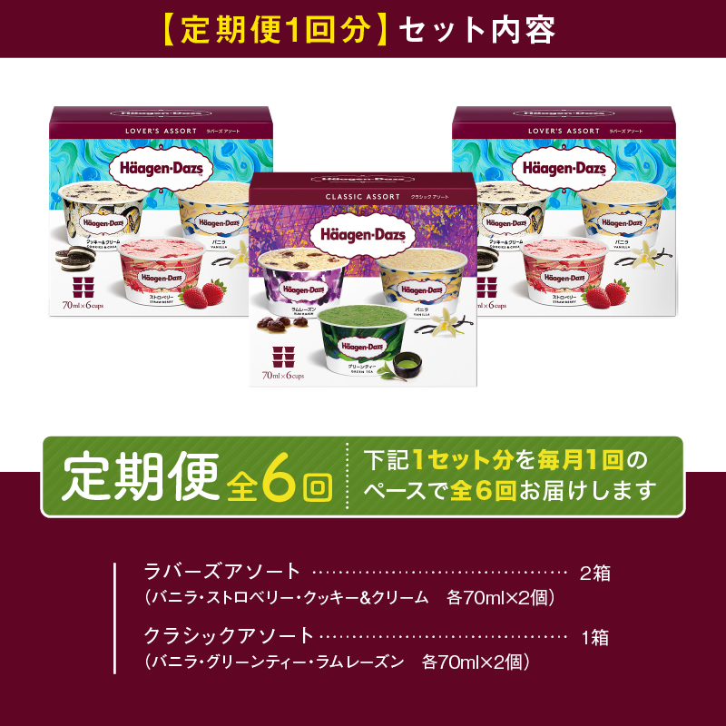 ＜全6回定期便・連続＞ハーゲンダッツ『アソートボックス3箱セット(合計18箱)』アイスクリーム アイス スイーツ デザート_H0016-148