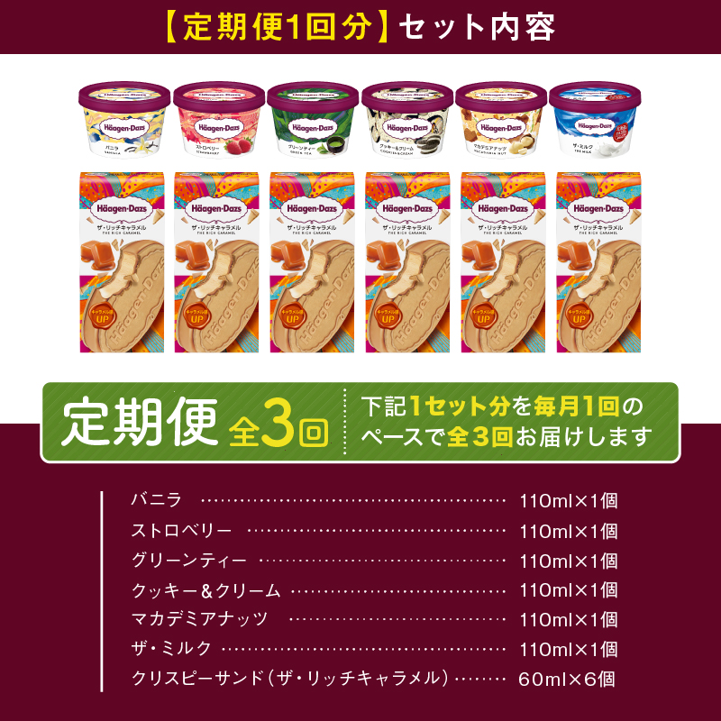 ＜全3回定期便・連続＞ハーゲンダッツ『ミニカップ＆クリスピーサンドセット(合計36個)』アイスクリーム アイス スイーツ デザート_H0026-041