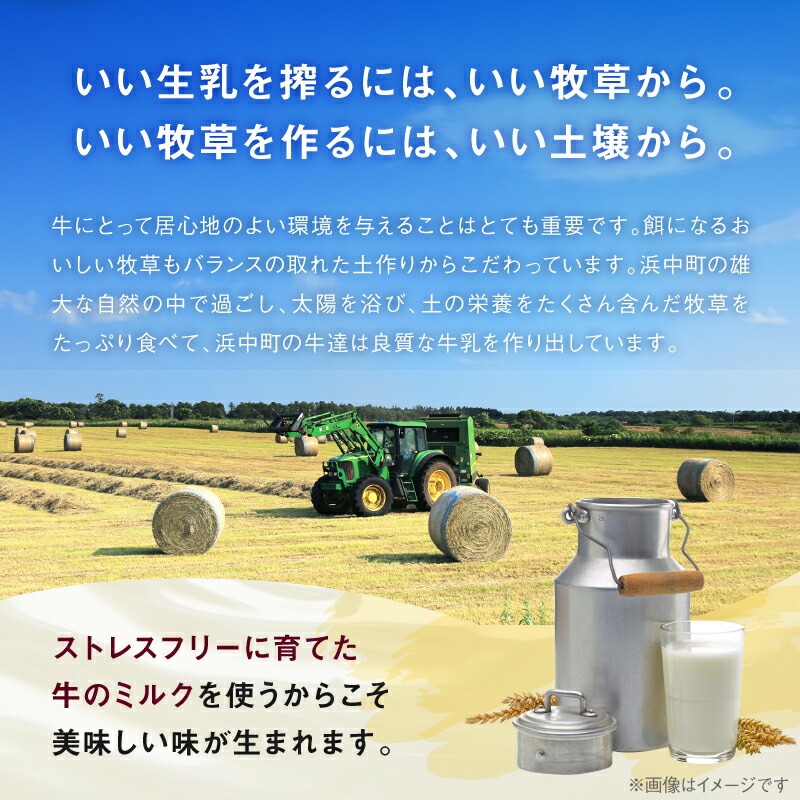 ＜全6回定期便・隔月＞ハーゲンダッツ『定番ミニカップフレーバー5種セット(合計72個)』アイスクリーム アイス スイーツ デザート_H0026-053