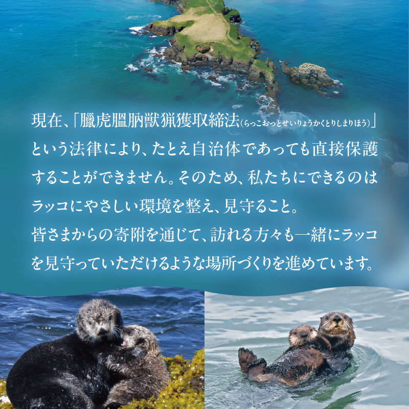 ラッコを見守る岬「きりたっぷ岬」周辺の環境整備　2000円分 返礼品なし_H0028-008