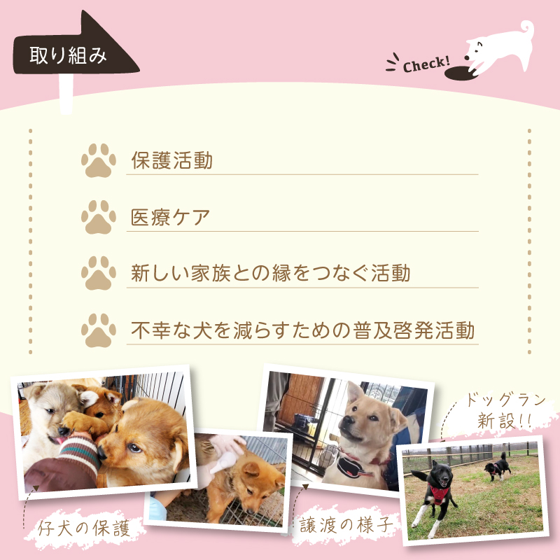 【野犬の保護活動】浜中町「ドッグレスキューしおんの会」を支援　10000円分 返礼品なし_H0039-006