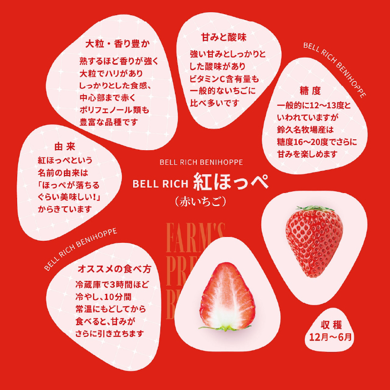 《数量限定》赤白いちごの贅沢食べ比べセット(合計2パック) BELL RICH_H0049-001