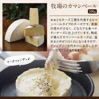 10日以内に発送!!【おおともチーズ工房】《人気No1》定番の手造りナチュラルチーズ詰め合わせ_010302-01