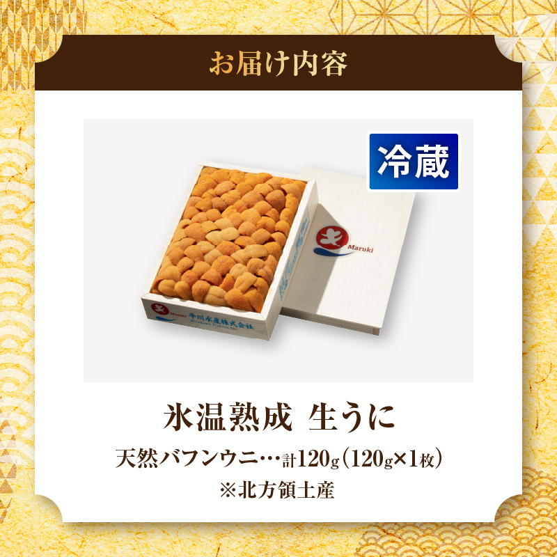 ≪氷温熟成≫生折うに(天然バフンウニ)　120g×1枚_110504