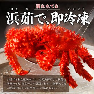 花咲かに2杯セット（1杯550g～650g）_H0001-003