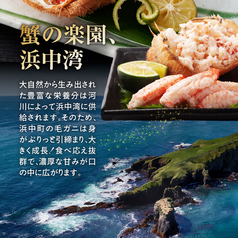 北海道産 毛ガニ1杯(750～780g)_H0001-130