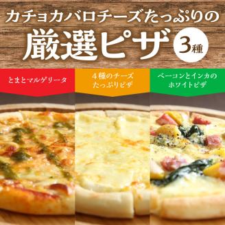 厳選チーズセットとチーズ工房のピザ3種詰め合わせ_H0003-004