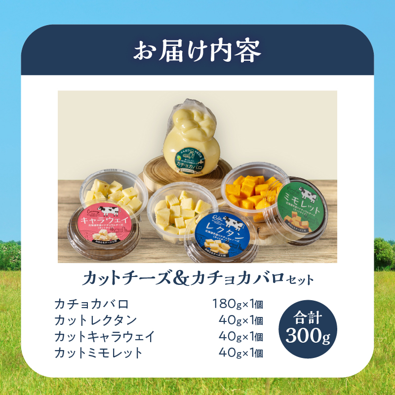 【おおともチーズ工房】《おつまみ＆お料理に!!》カットチーズ＆カチョカバロセット_H0003-020