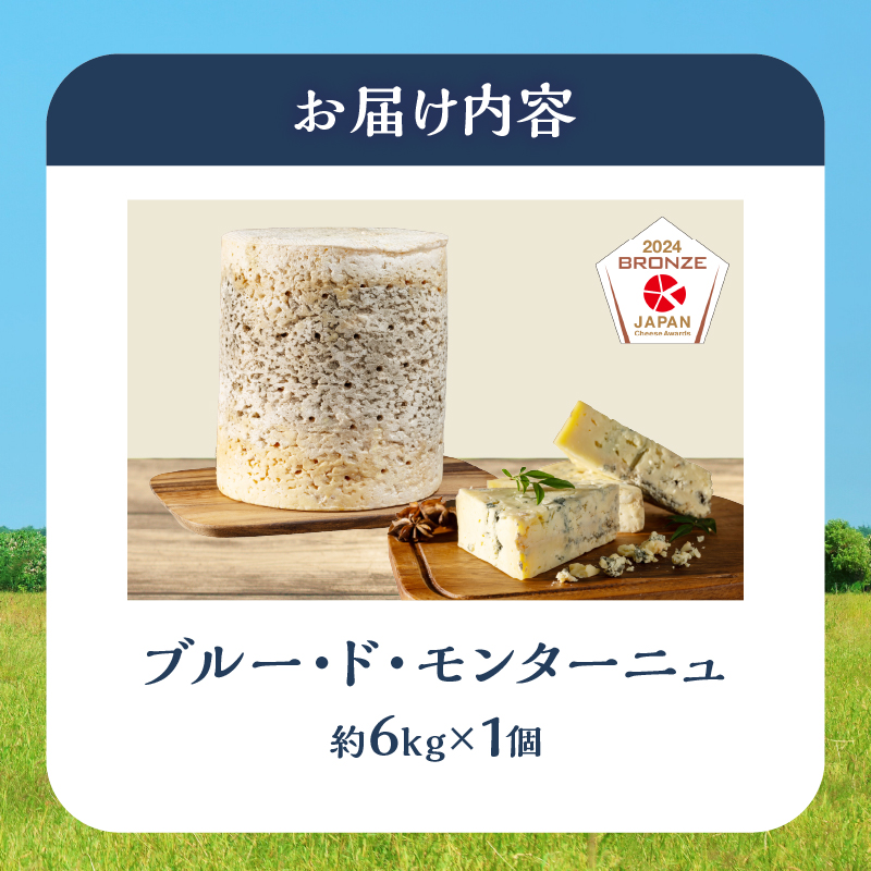 【おおともチーズ工房】《熟成庫から直送!!》業務用サイズのブルーチーズホール(1個あたり6kg)_H0003-036