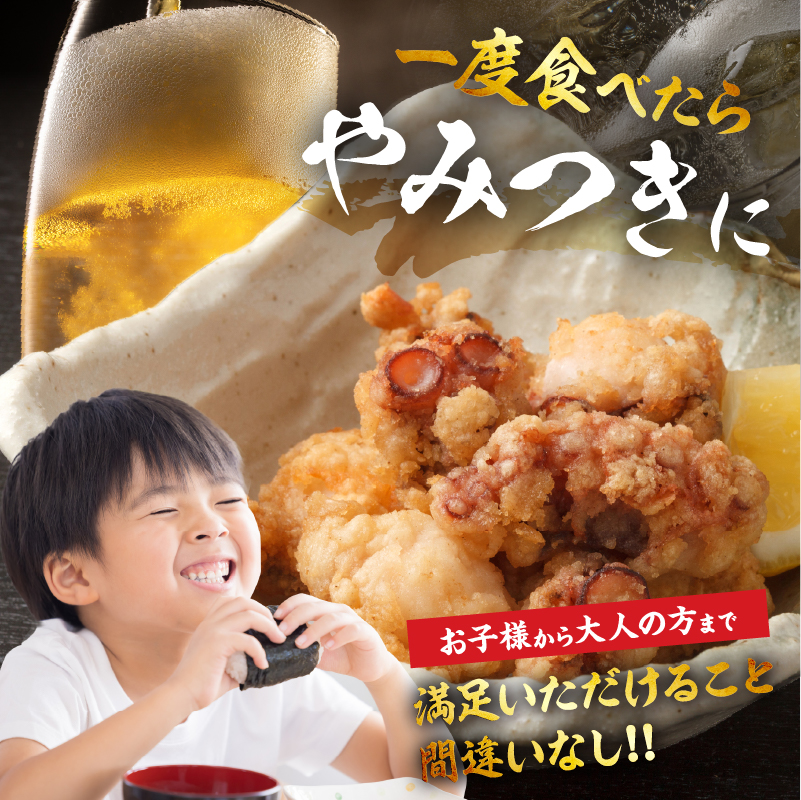 たこ唐揚げ（250g×3パック）セット_H0023-039