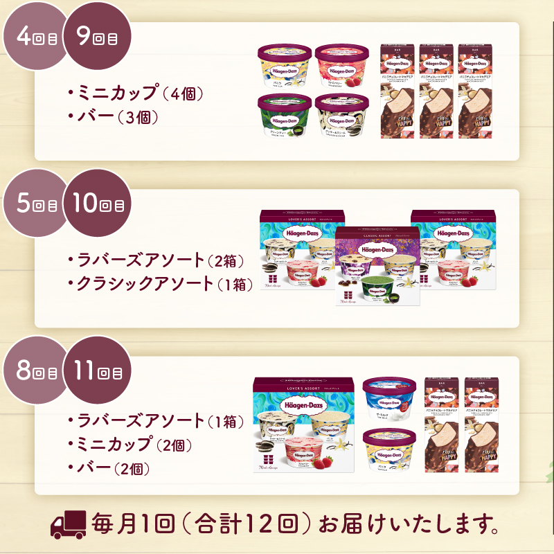 ＜全12回・連続＞1年定期便！ハーゲンダッツ人気 セット アイス スイーツ デザート ご褒美 詰め合わせ 贅沢 乳製品 おやつ おすすめ お取り寄せ グルメ 冷凍 北海道_H0026-021-n