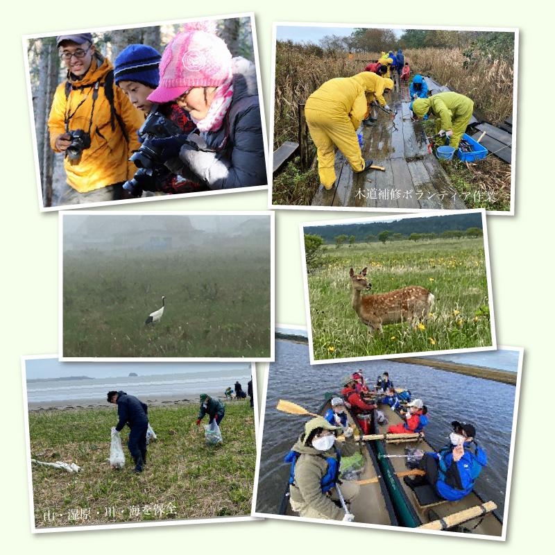 霧多布湿原を中心とする環境保全活動への寄附4,000円分_H0027-003