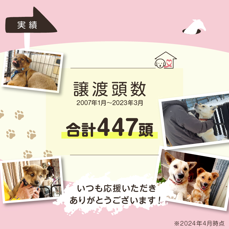 【野犬の保護活動】浜中町「ドッグレスキューしおんの会」を支援　10000円分 返礼品なし_H0039-006