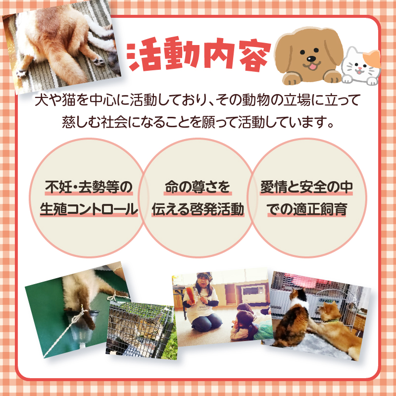 【動物愛護ボランティア】浜中町「ポラリス☆はまなか」を支援　3000円分 返礼品なし_H0048-003