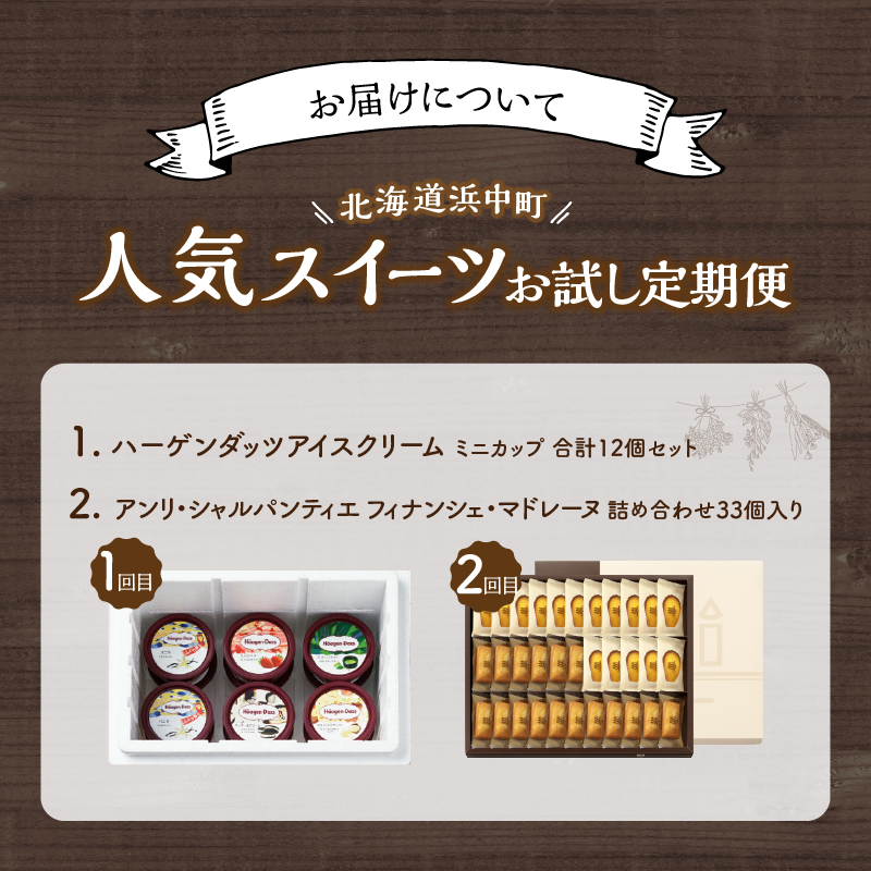 ＜全2回・連続＞北海道浜中町の人気スイーツお試し定期便 アイス スイーツ デザート_H0100-007