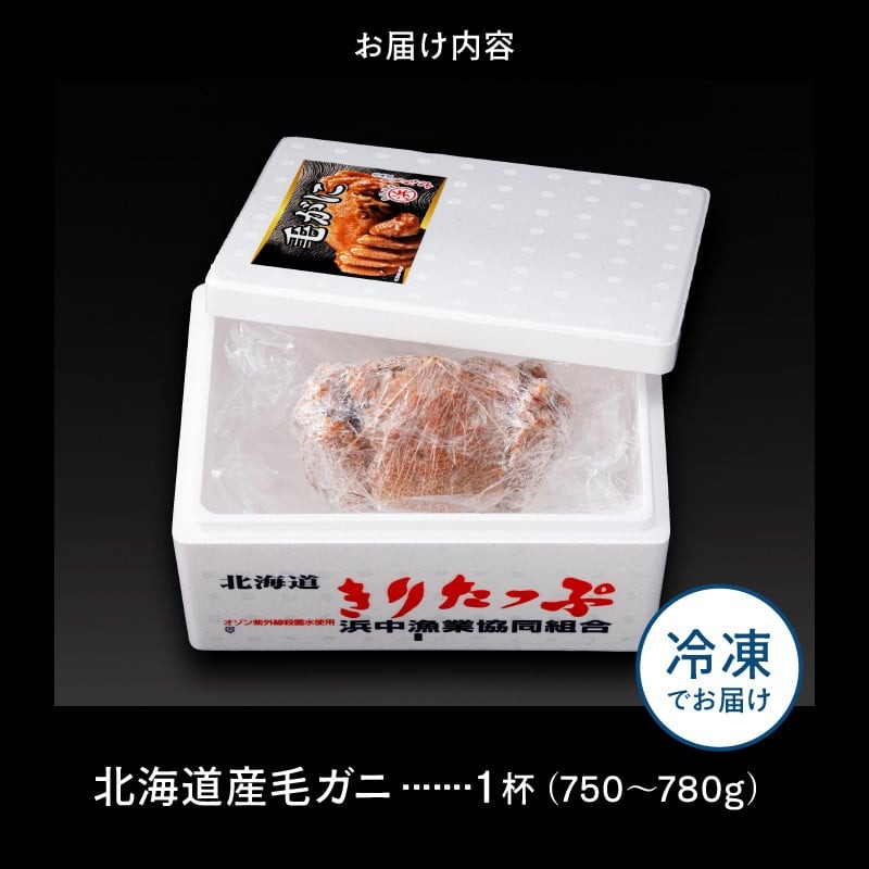 北海道産 毛ガニ1杯(750～780g)_H0001-130
