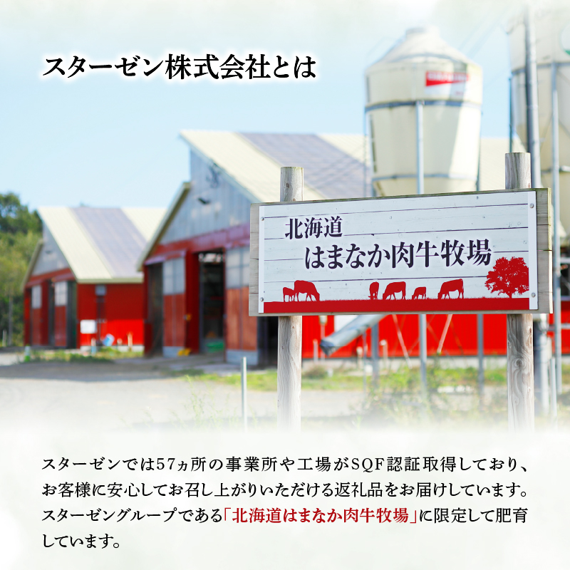 ＜全4回・連続＞浜中牛づくし定期便（焼肉・ステーキ・すき焼き・切り落とし）_H0019-008