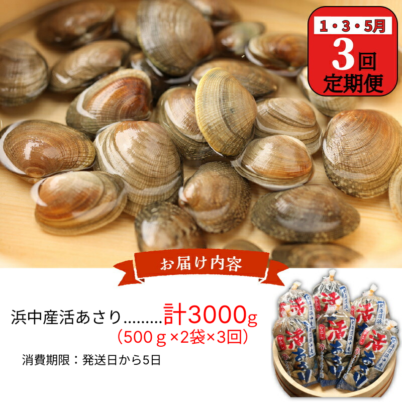 訳あり＜隔月1月・3月・5月お届け＞《先行予約・期間限定》浜中町産活あさり定期便　(500g×2袋×3回)総重量3kg_H0023-055