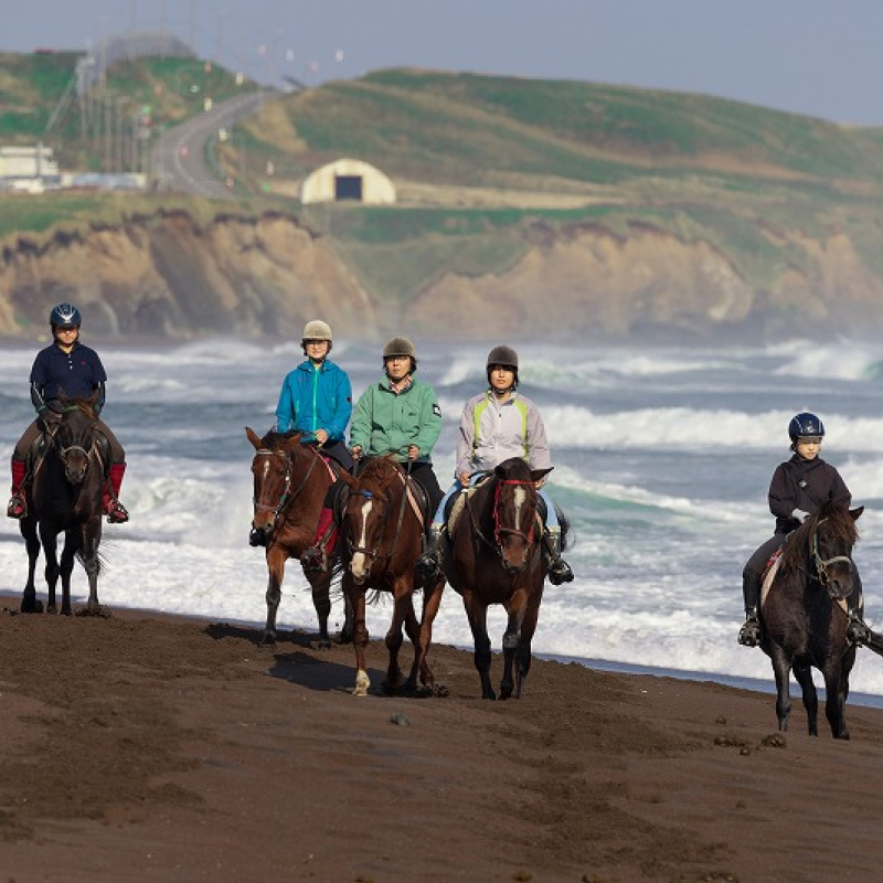 乗馬体験（波打ちコース）ペアチケット_H0036-001