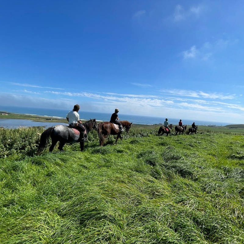 乗馬体験（丘コース）ペアチケット_H0036-002