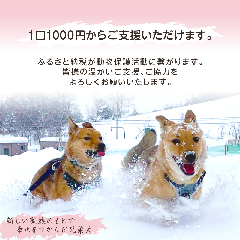 【野犬の保護活動】浜中町「ドッグレスキューしおんの会」を支援　30000円分 返礼品なし_H0039-007