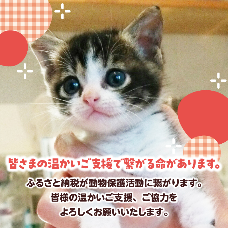 【動物愛護ボランティア】浜中町「ポラリス☆はまなか」を支援　5000円分 返礼品なし_H0048-005