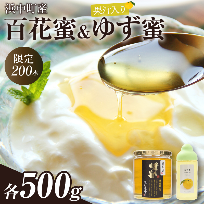 【数量限定】国産百花蜜(500g×1瓶)＆果汁入りゆず蜜(500g×1本)_310401