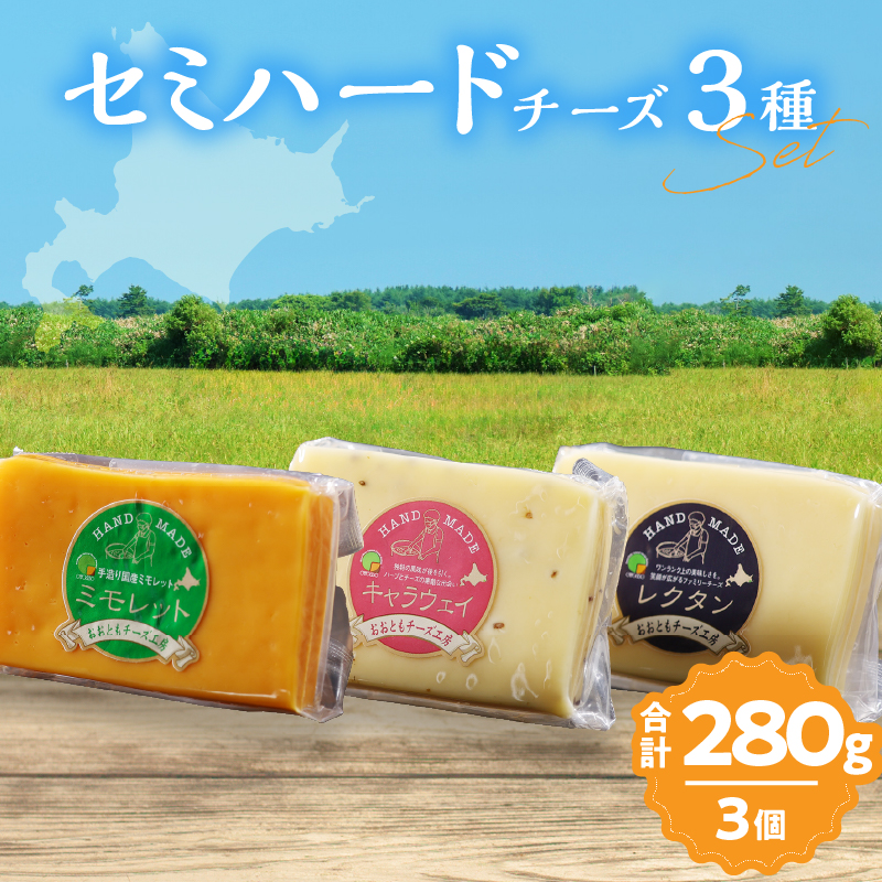 【おおともチーズ工房】《熟成の旨味を堪能!!》熟成セミハードチーズ3種セット_H0003-017