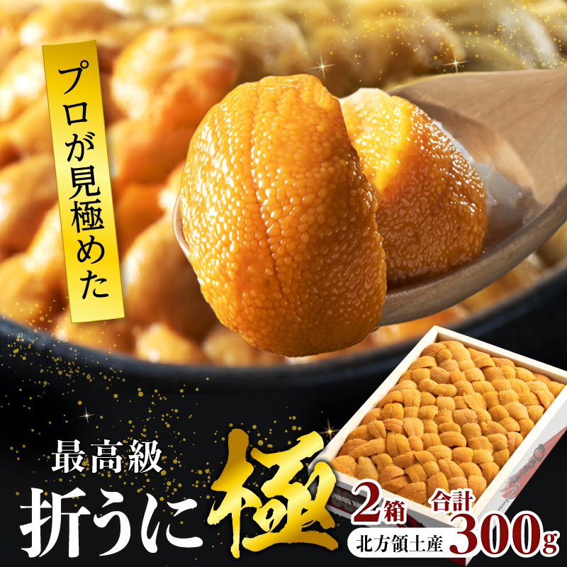 ≪プロ厳選≫最高級折うに(極)計300g うに ウニ 雲丹 折うに 海鮮 海産物 北海道 浜中町 ふるさと納税 人気 年内配送_H0014-001