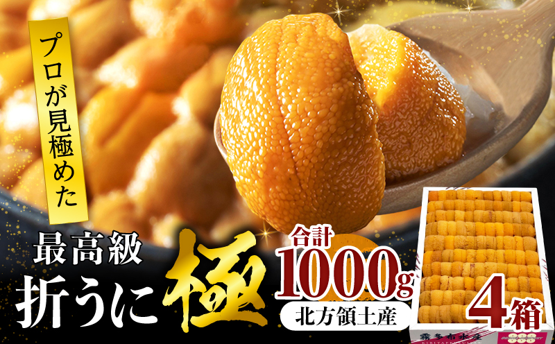 ≪プロ厳選≫最高級折うに(極)計1000g うに ウニ 雲丹 折うに 海鮮 海産物 北海道 浜中町 ふるさと納税 人気_H0014-010