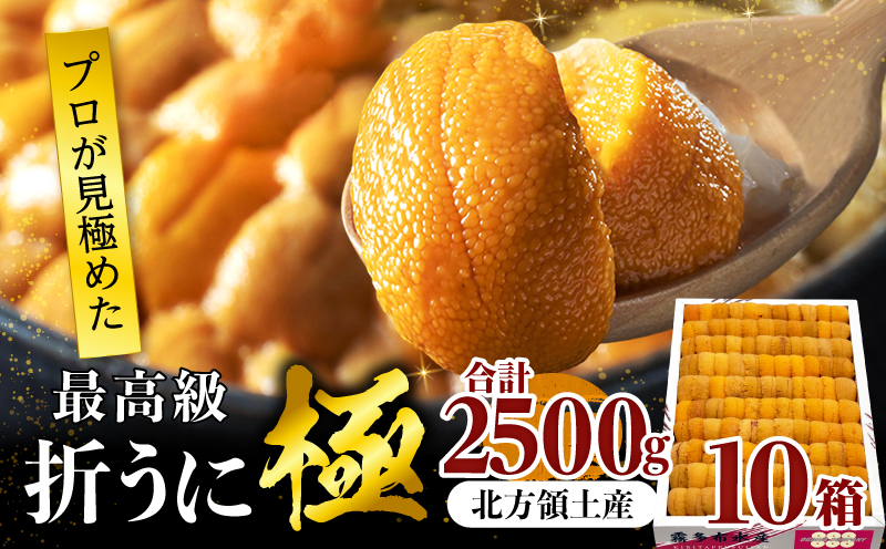 ≪プロ厳選≫最高級折うに(極)計2500g うに ウニ 雲丹 折うに 海鮮 海産物 北海道 浜中町 ふるさと納税 人気_H0014-011