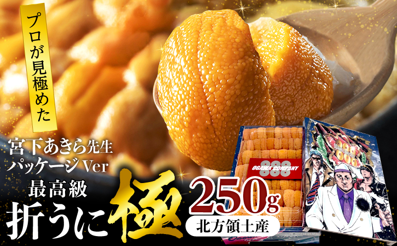 ≪プロ厳選≫最高級折うに(極)宮下あきら先生パッケージVer計250g うに ウニ 雲丹 折うに 海鮮 海産物 北海道 浜中町 ふるさと納税 人気_H0014-012