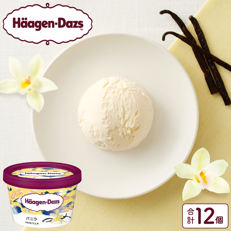 ハーゲンダッツ『ミニカップ12個セット(バニラ味)』アイスクリーム アイス スイーツ デザート_H0016-019