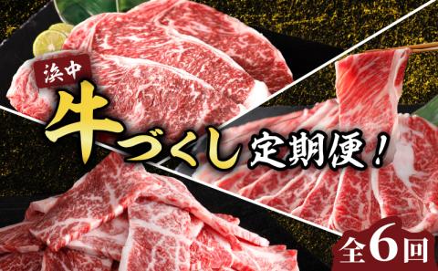 ＜全6回・連続＞浜中牛づくし定期便_H0019-007