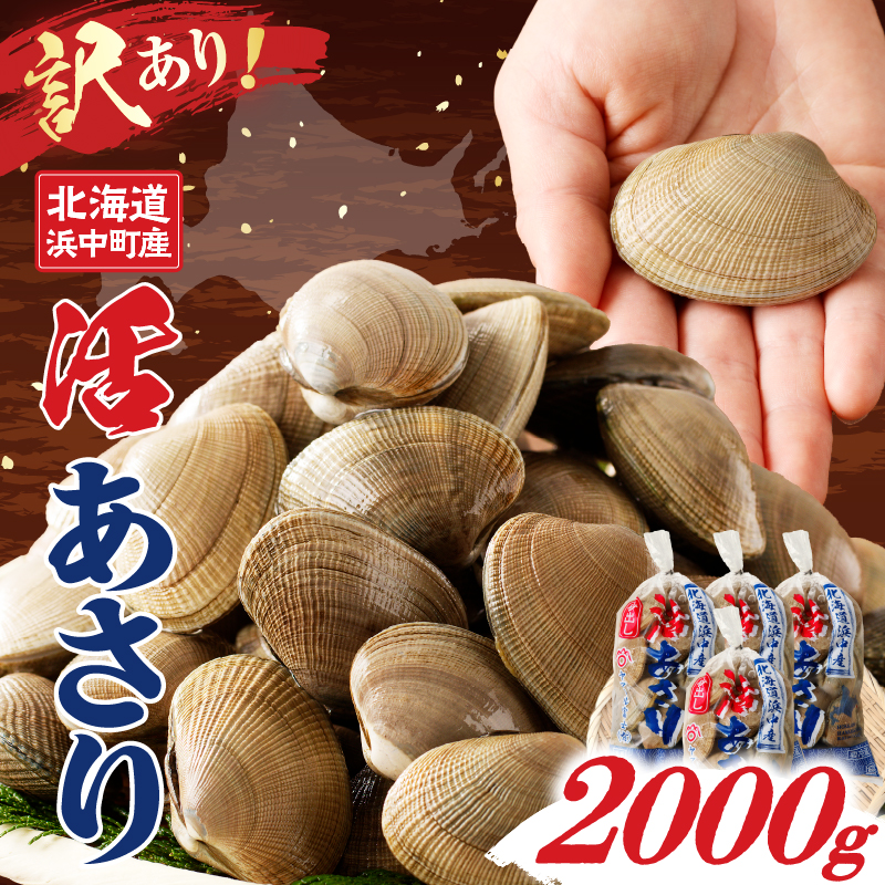 【訳あり】1月～3月発送分《先行予約・期間限定》浜中町産活あさり(500g×4袋セット)_H0023-052