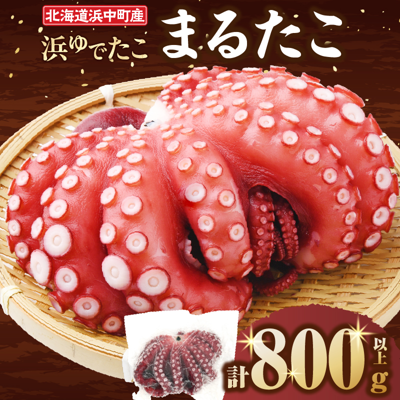 【令和8年1月発送分】浜ゆでたこ「まるたこ」たこ 一匹 一杯 刺身 海産物 魚介類 海鮮 北海道 _H0023-061-R801