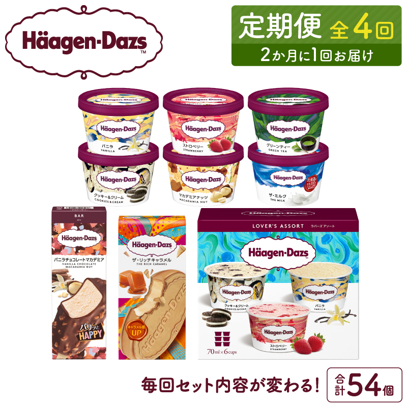 ＜全4回・隔月＞お試し定期便！ハーゲンダッツ人気 セット アイス スイーツ デザート_H0026-011