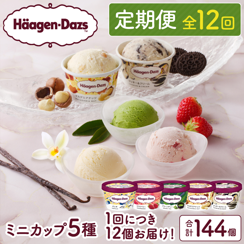 ＜全12回・連続＞1年定期便！ミニカップ セット アイス デザート スイーツ アイスクリーム 人気 おすすめ お取り寄せ 北海道 浜中町 冷凍 送料無料 プレゼント ギフト_H0026-013