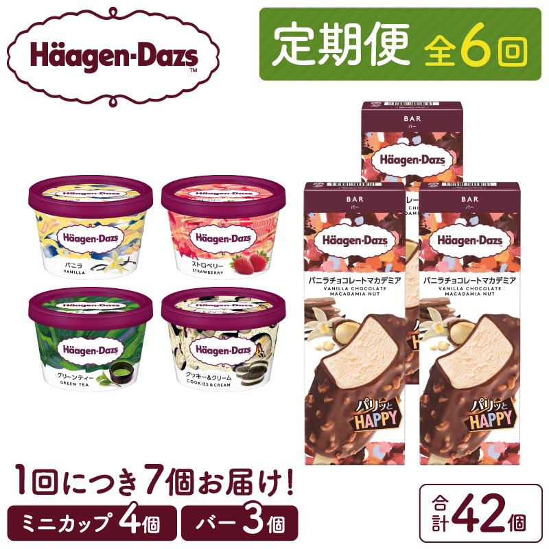 ＜全6回定期便・連続＞ハーゲンダッツ『ミニカップ＆バーセット(合計42個)』アイスクリーム アイス スイーツ デザート_H0026-031