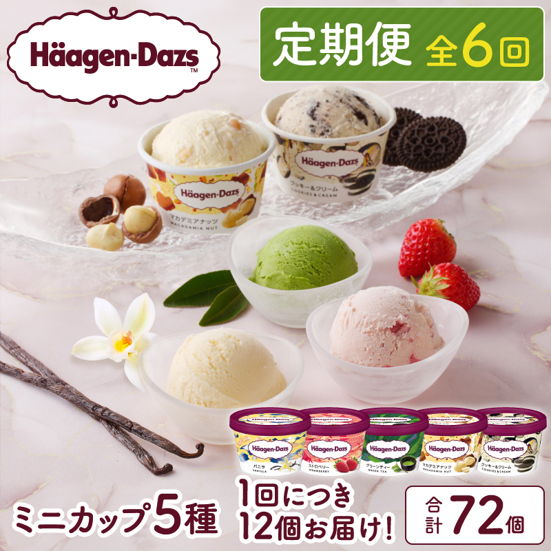 ＜全6回定期便・連続＞ハーゲンダッツ『定番ミニカップフレーバー5種セット(合計72個)』アイスクリーム アイス スイーツ デザート_H0026-032