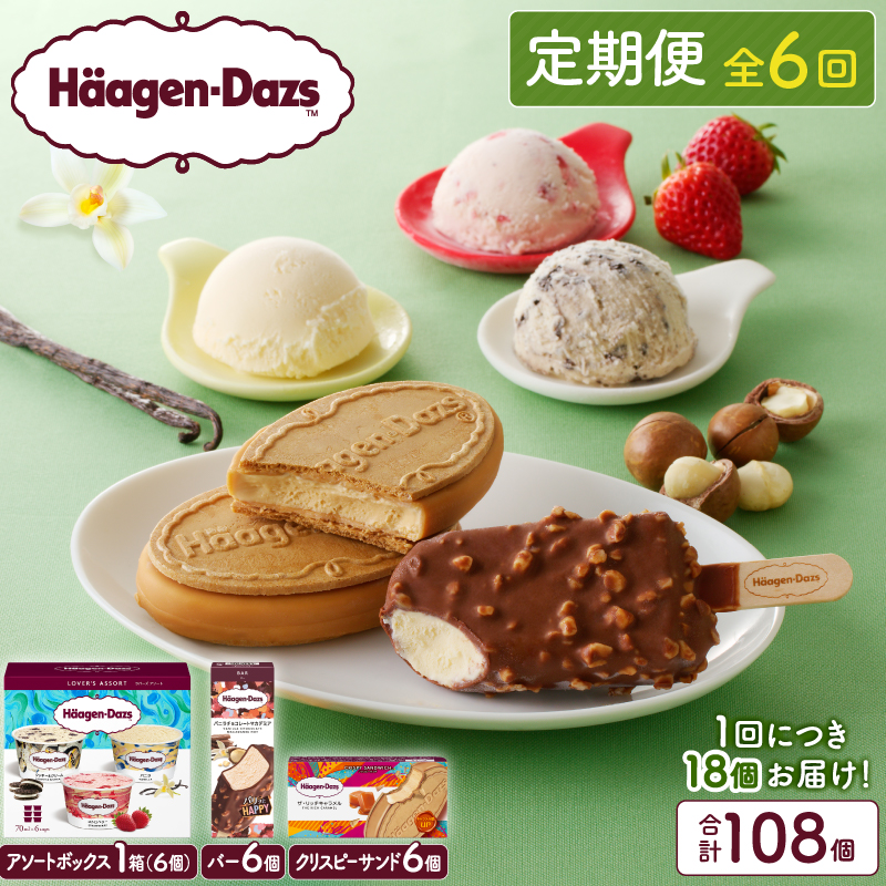 ＜全6回定期便・連続＞ハーゲンダッツ『3種の贅沢ギフトセット(合計108個)』アイスクリーム アイス スイーツ デザート_H0026-033