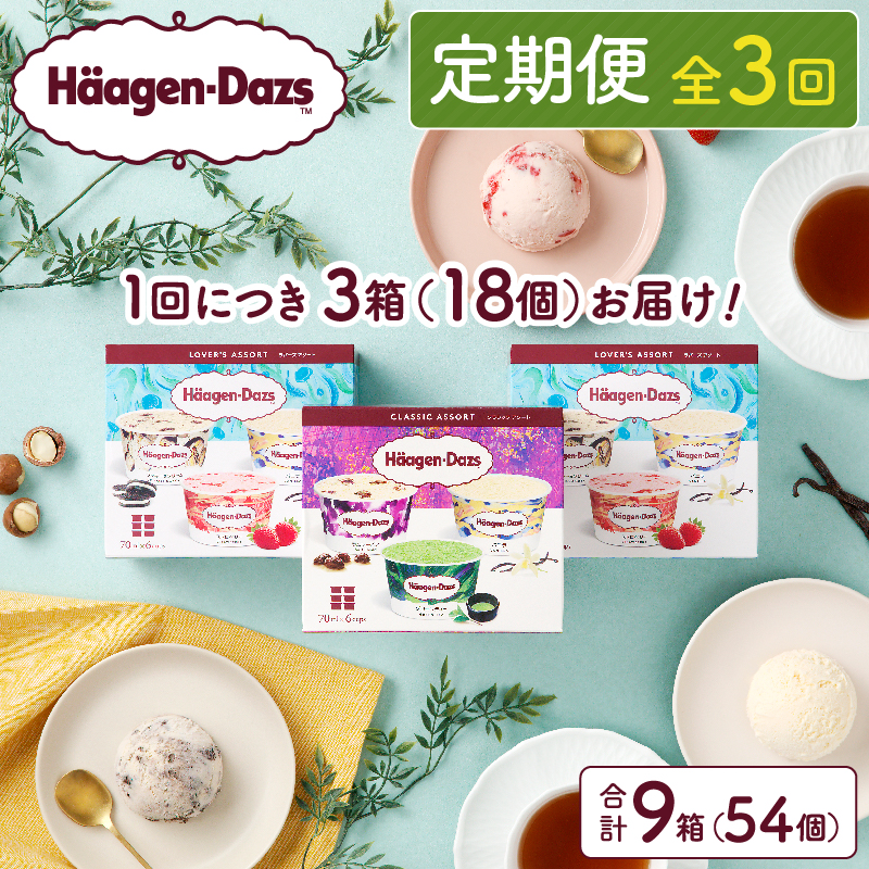 ＜全3回定期便・連続＞ハーゲンダッツ『アソートボックス3箱セット(合計9箱)』アイスクリーム アイス スイーツ デザート_H0026-035